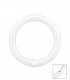 TUBO CIRCULAR LED 215 MM. 15W 6500K 220V