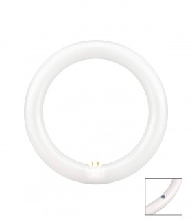 TUBO CIRCULAR LED 215 MM. 15W 6500K 220V