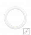 TUBO CIRCULAR LED 215 MM. 14W 6500K 220V