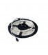 ROLLO TIRA LED 5 MTS. 12W/MTS 3000K IP20