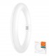 TUBO CIRCULAR LED ST9-22 12W 865 LEDVANCE