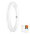 TUBO CIRCULAR LED ST9-22 12W 865 LEDVANCE